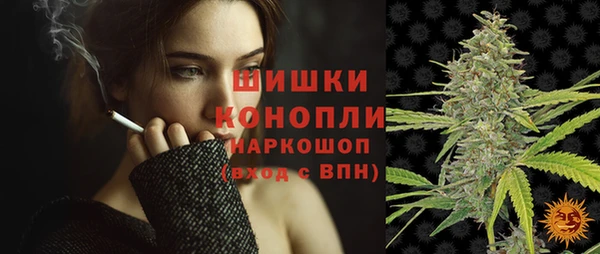Альфа ПВП Белокуриха